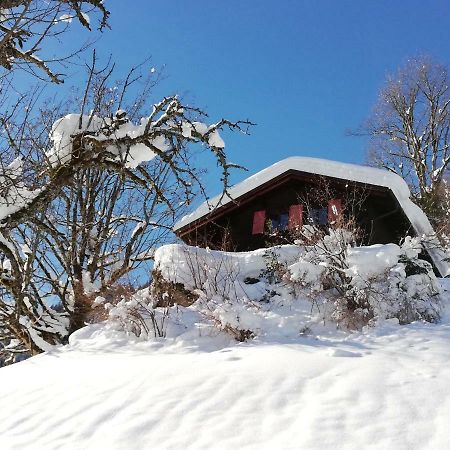 Ferienhaus Schnider Galgenul Bagian luar foto